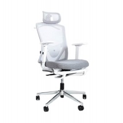 NEO-C Ergonomic Office Chair - White Grey