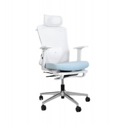 NEO-C Ergonomic Office Chair - Baby Blue