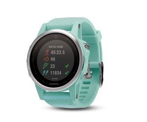 jual-garmin-fenix-5s-jakarta-indonesia-ready-stock-resmi-murah
